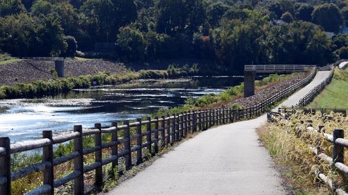 Bridge over river amidst trees