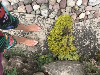 Low section of person standing on rock