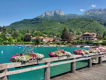 View of flower pots on jetty and town against calm sea