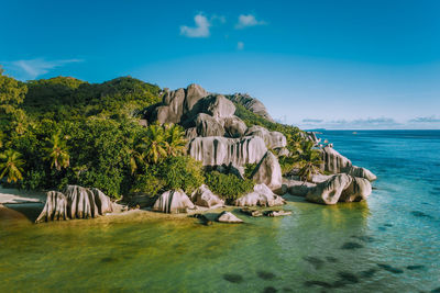 Aerial view of rock formation on beach