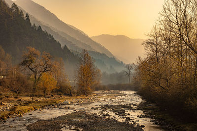 River flowing through misty mountain valley covered with dense forests and mist at dawn