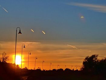 Silhouette of trees at sunset