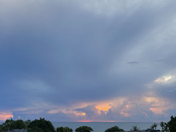 Low angle view of silhouette trees against sky during sunset