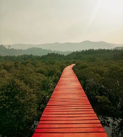 Boardwalk amidst plants on landscape against sky