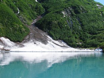 Scenic view of lake amidst trees