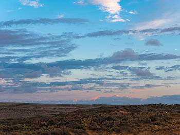 Scenic view of field against sky during sunset