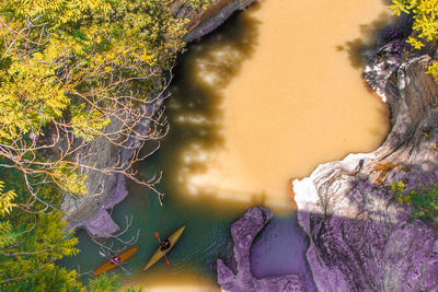 Close-up of tree trunk by lake