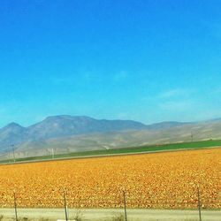 Scenic view of landscape against blue sky