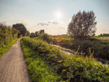 Hiking at the river aa in westphalia