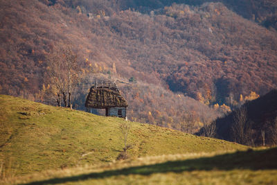 Scenic view of field against trees and mountain