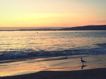 Scenic view of sea at sunset