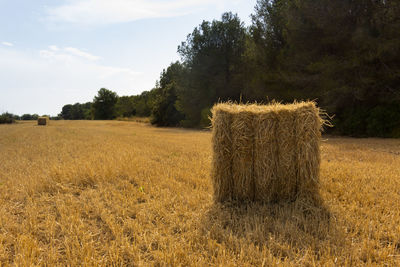 Hay bales on field against sky