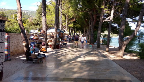 People on street amidst trees in city