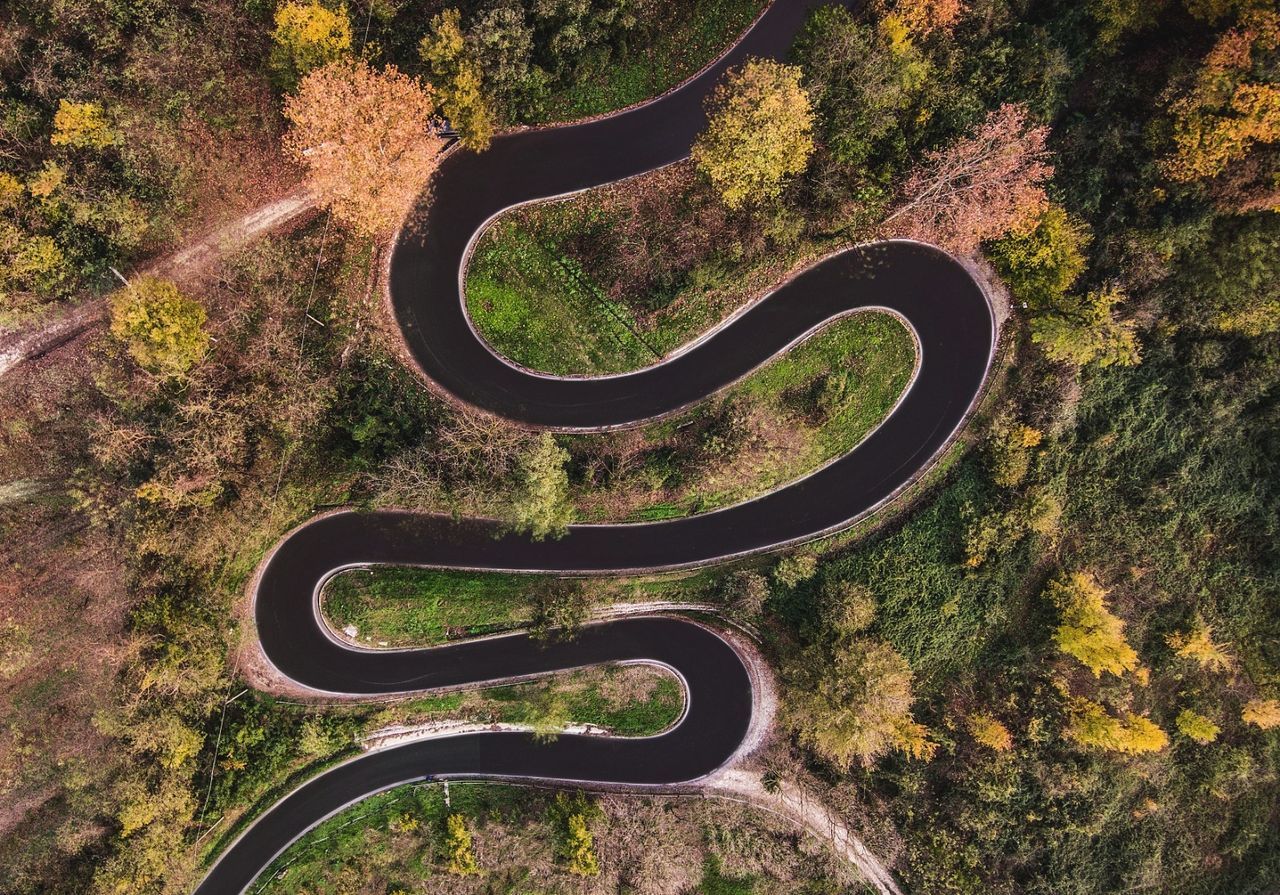 plant, curve, tree, no people, day, nature, beauty in nature, road, high angle view, tranquility, scenics - nature, tranquil scene, winding road, growth, landscape, non-urban scene, outdoors, environment, transportation, sunlight