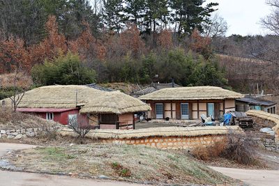 Houses on field by old building