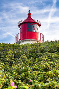 Germany, schleswig-holstein, amrum, green lush flora in front of amrum lighthouse