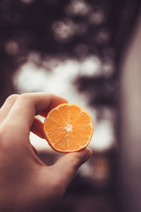 Close-up of hand holding fruit