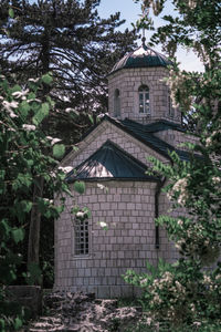 Low angle view of trees and building against sky