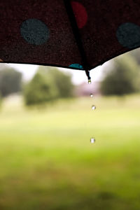 Close-up of raindrops on leaf