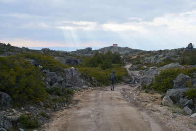 Rear view of man amidst trees against sky