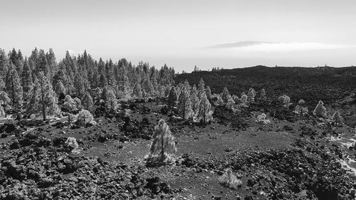 Panoramic view of landscape against sky