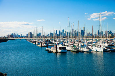 Sailboats moored in harbor