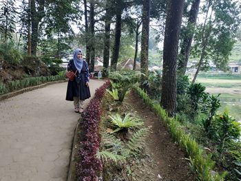People walking on footpath in forest