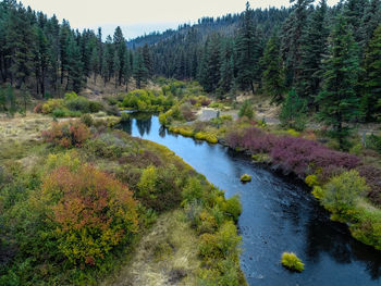 Stream with autumn colors in oregon