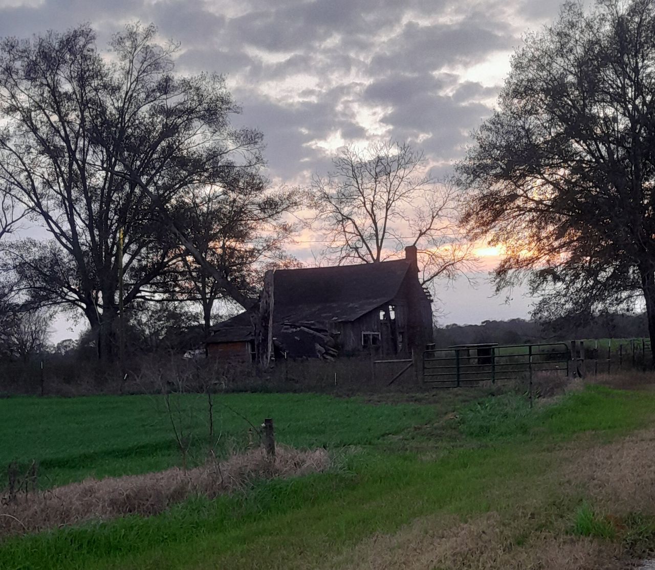 tree, plant, sky, rural area, cloud, architecture, nature, farm, built structure, grass, landscape, field, house, building, building exterior, no people, land, bare tree, environment, rural scene, morning, outdoors, fence, beauty in nature, agricultural building, abandoned, tranquility