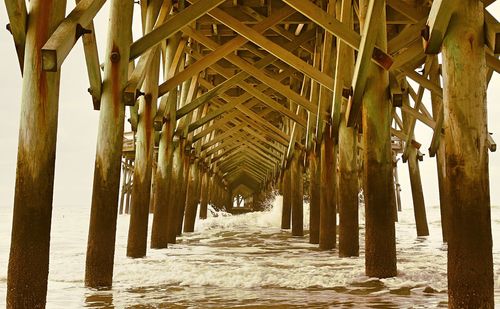 Walkway amidst trees in city against sky