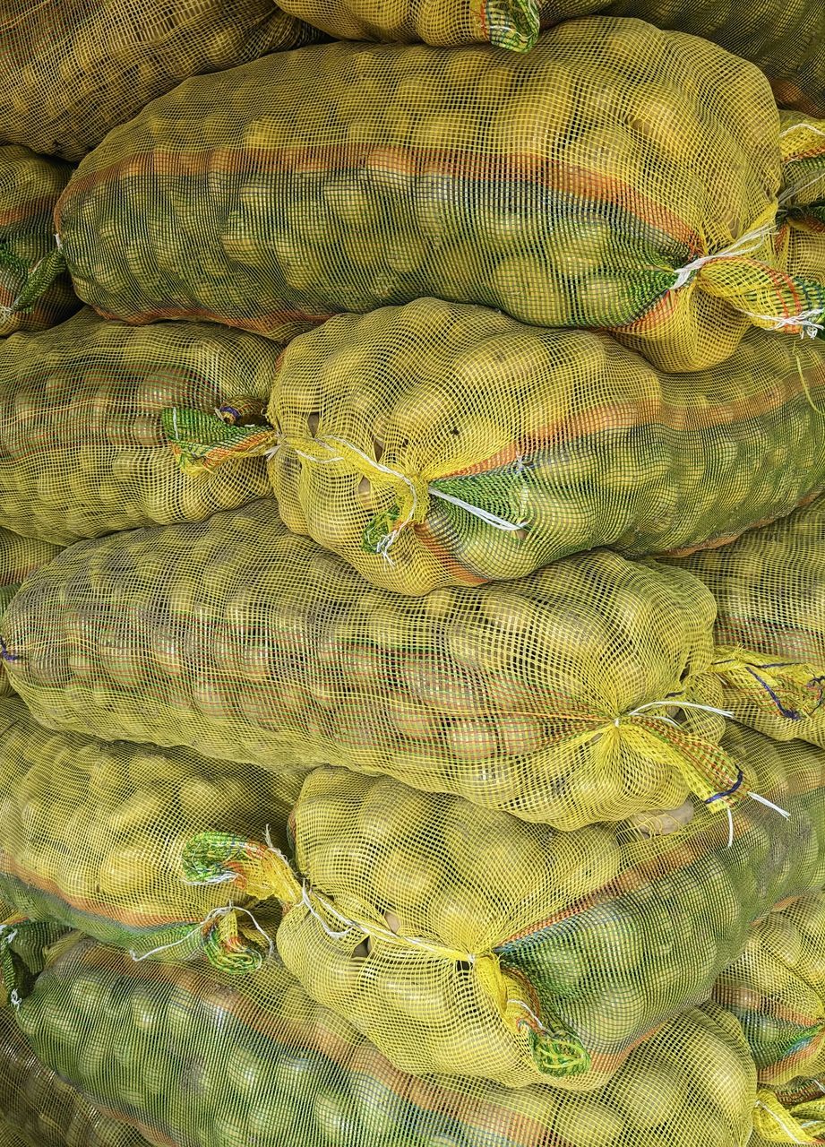 food, gourd, food and drink, produce, no people, full frame, healthy eating, freshness, plant, green, backgrounds, high angle view, close-up, wellbeing, market, animal, for sale, day, animal themes, abundance, nature, outdoors