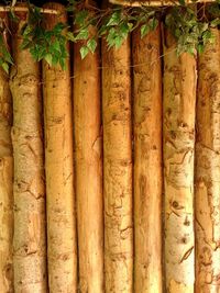 Full frame shot of wood