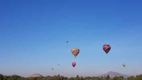 Low angle view of hot air balloons against blue sky