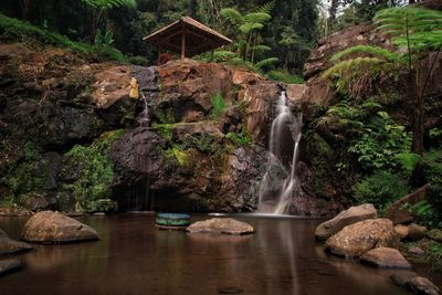 Scenic view of waterfall in forest