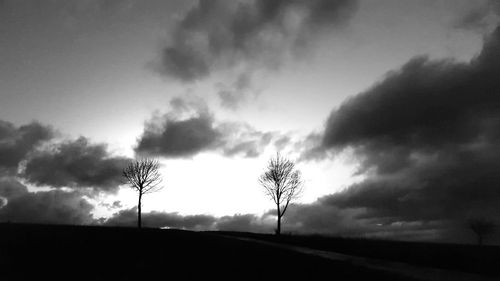 Low angle view of silhouette trees on field against sky