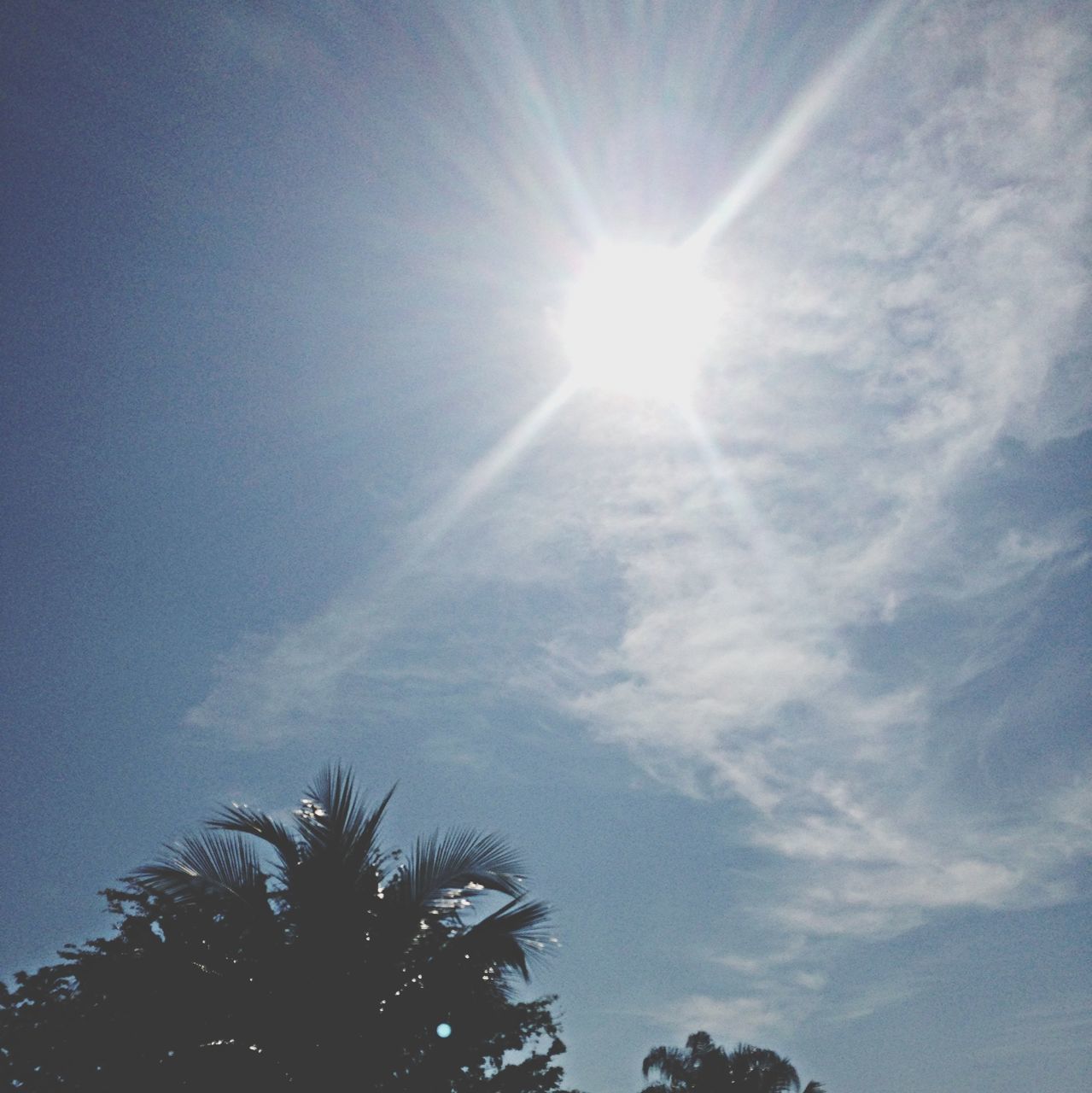 low angle view, sun, tree, sky, sunbeam, sunlight, beauty in nature, tranquility, blue, nature, silhouette, lens flare, scenics, tranquil scene, growth, cloud - sky, day, bright, sunny, high section