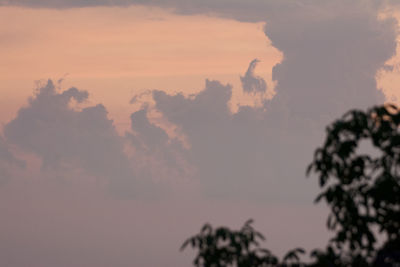 Low angle view of silhouette trees against sky
