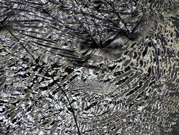 Full frame shot of textured surface