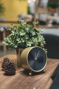 Close-up of clock with potted plant and pine cone on table