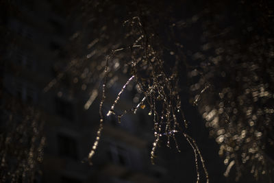 Low angle view of illuminated light bulb