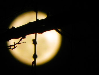Close-up of silhouette lamp against sky