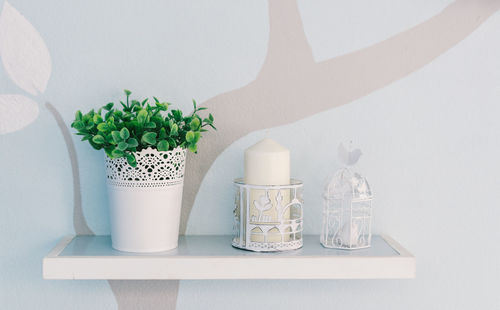 Close-up of potted plant and candles on shelf