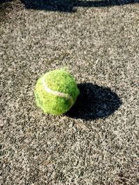 High angle view of green ball on sand