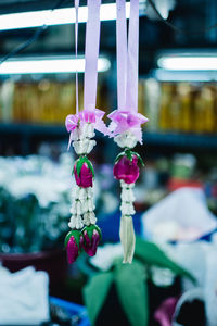 Close-up of purple flowering plant hanging from for sale