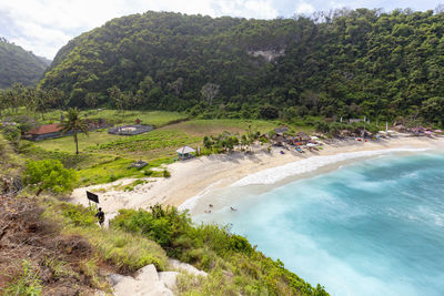 High angle view of trees on beach
