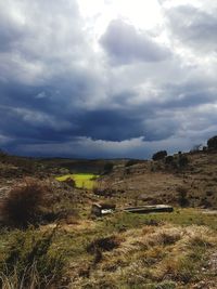 Scenic view of field against sky