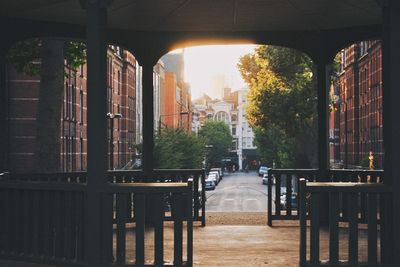 Trees in city