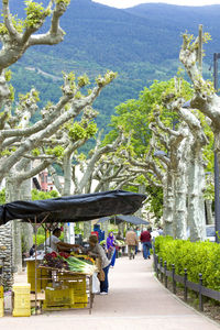 Tourists on footpath