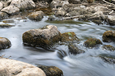 The flowing water of svartån going through the woods in the spring