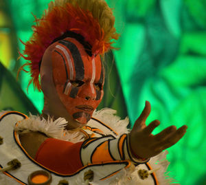 Close-up of plant against blurred background